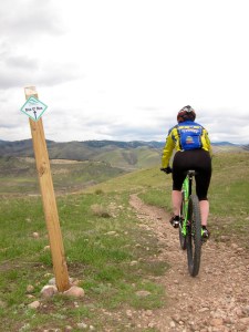 100502_bredakermit08